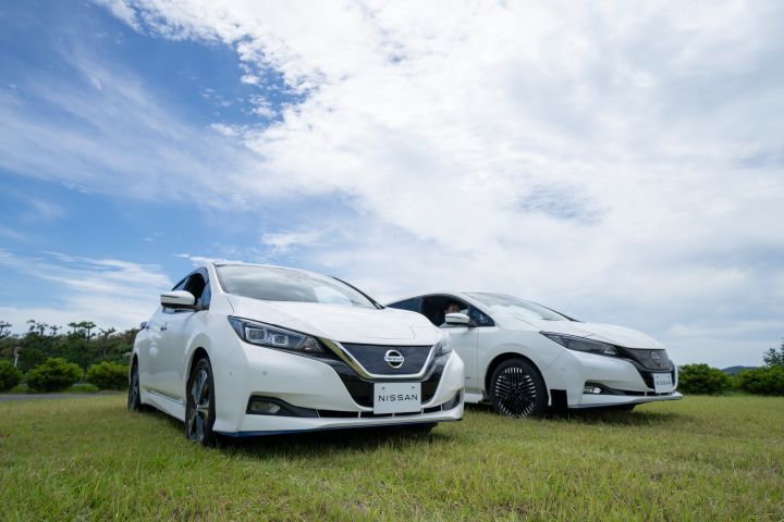 2台の日産リーフが芝生の上に停車されている様子。背景は青い空と白い雲