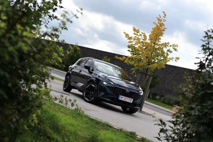 Blick durch zwei seitliche Büsche auf einen dunkelgrünen Nissan Qashqai, der auf einem Parkplatz mit einer dunklen Steinmauer im Hintergrund steht