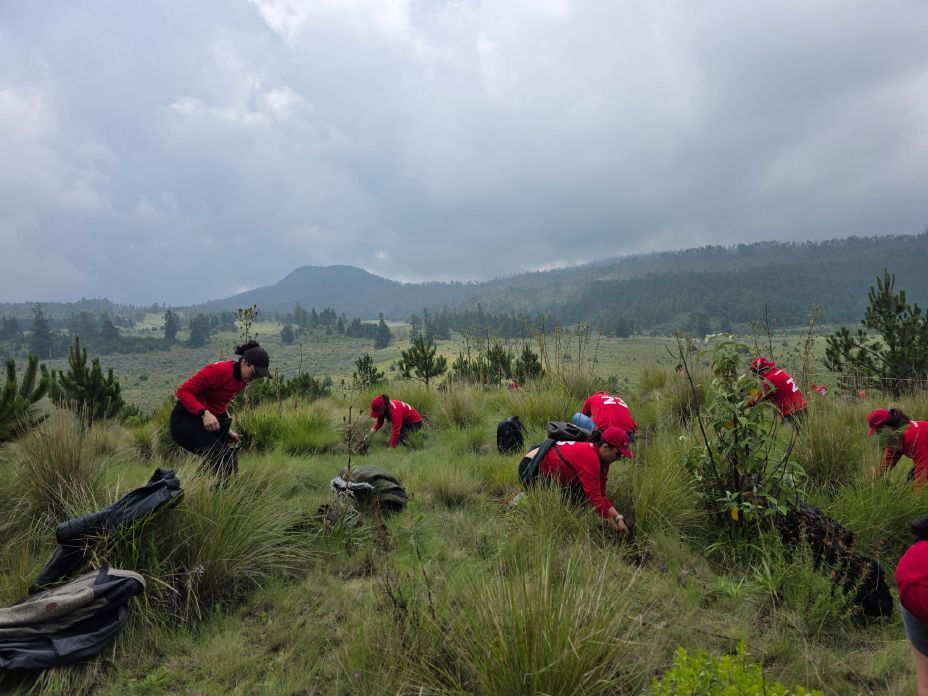 Colaboradores de Nissan en la actividad de reforestación