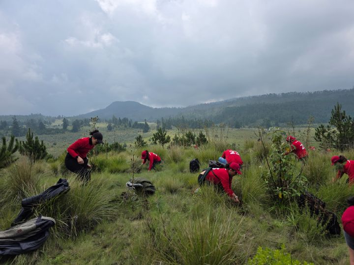 Colaboradores de Nissan en la actividad de reforestación