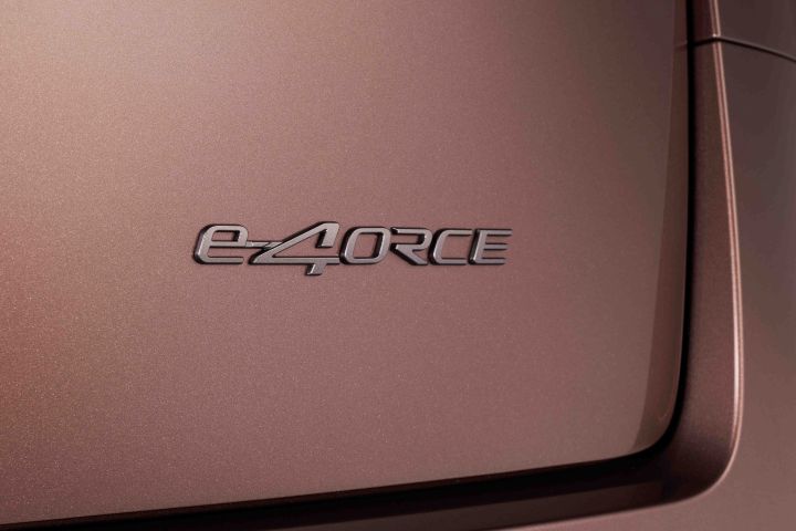 A close-up of the “ELGRAND” badge on the body of a Fuji-dawn-colored Elgrand, emphasizing the model name emblem.