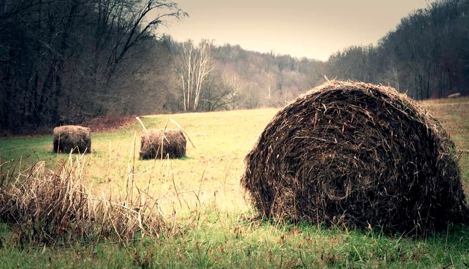 "Nissan Titan Truckumentary" chapter 1 explores brand's truck history