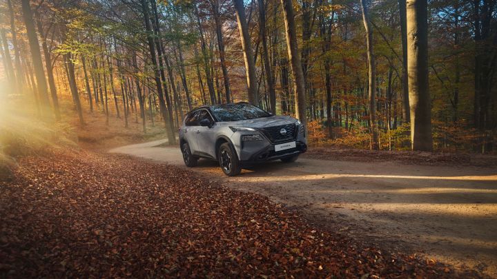 Ein grauer Nissan X‑Trail N-Trek fährt durch einen herbstlichen Wald  über eine sandige Straße, die Sonne bricht links durch die Bäume