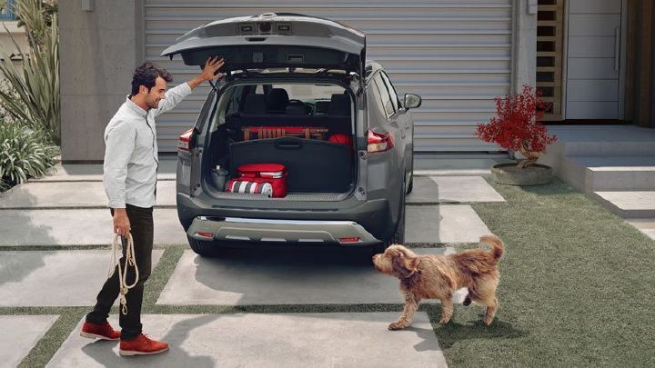 SUV estacionada en el jardín de una casa con persona y perro
