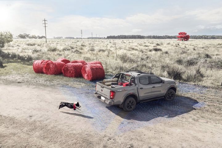 Una Nissan Frontier estacionada en un campo, con un perro que lleva un pañuelo rojo como collar corriendo detrás.