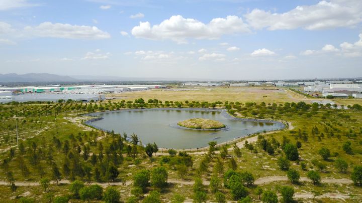 Muestra la reserva ecológica Nissan, con un estanque de captación de agua, y árboles alrededor de diferentes especies, a lo lejos esta la Planta A1