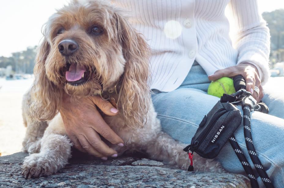 Nissan X-Trail e-POWER International Dog Day