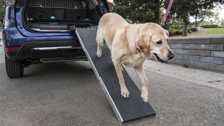 Nissan Rogue Dogue ready for “Fast and Fur-ious” debut at the 2017 New York International Auto Show