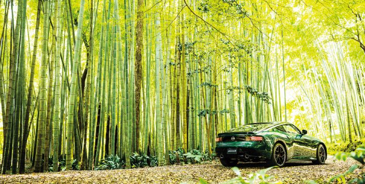 Unryu Green Fairlady Z parked on a path surrounded by a bamboo forest, photographed from a rear-left three-quarter angle. The vehicle faces toward the right side of the image, showcasing its rear combination lamps, muscular rear fenders, black alloy wheels, and dual exhaust outlets. Tall bamboo stalks fill the background, with sunlight filtering through the foliage to illuminate the scene. Fallen leaves cover the ground, while the vibrant greenery complements the rich Unryu Green body color, creating a striking natural setting that highlights the distinctive styling of the Fairlady Z.